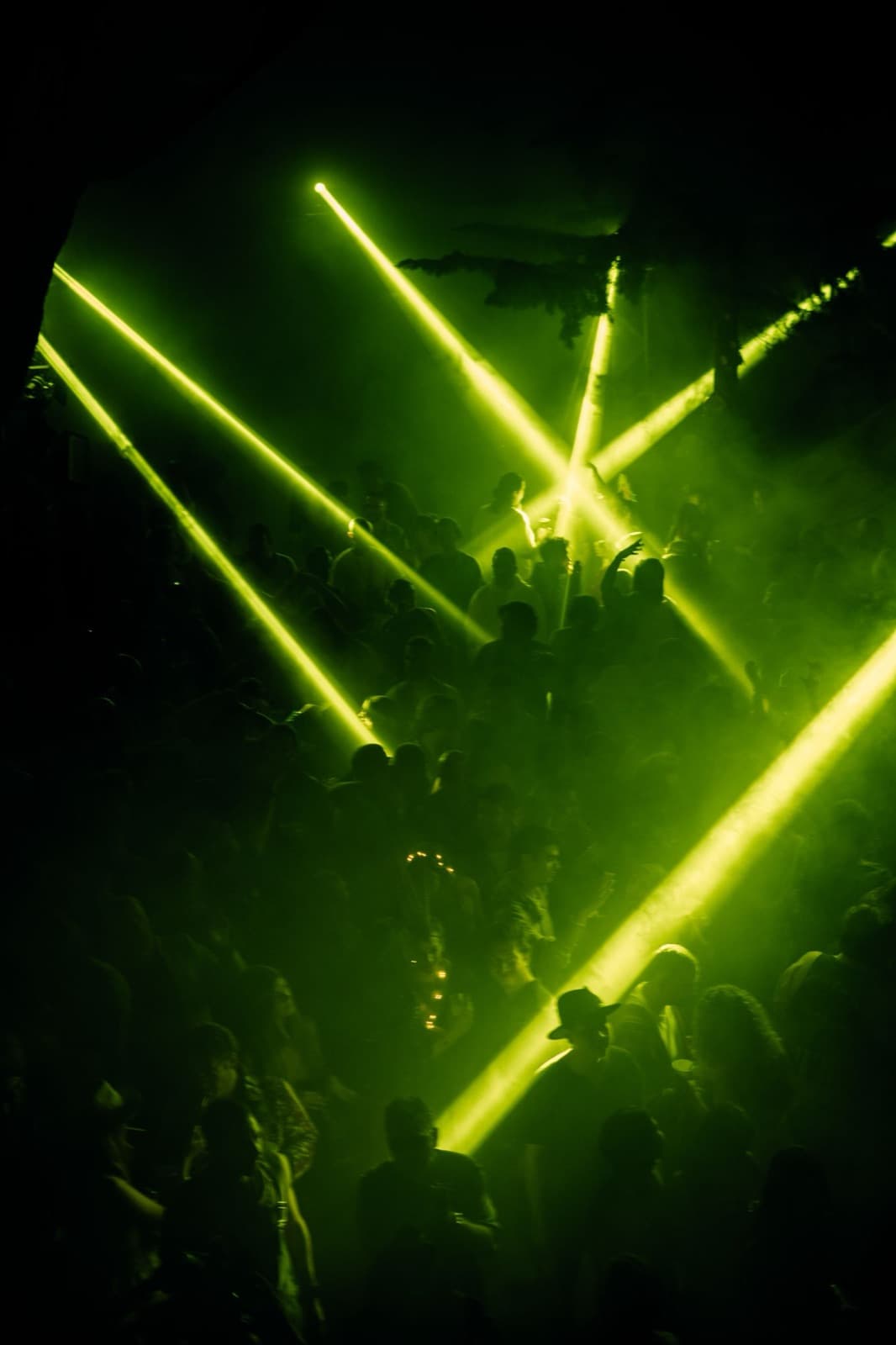 Party crowd under a canopy of green laser lines